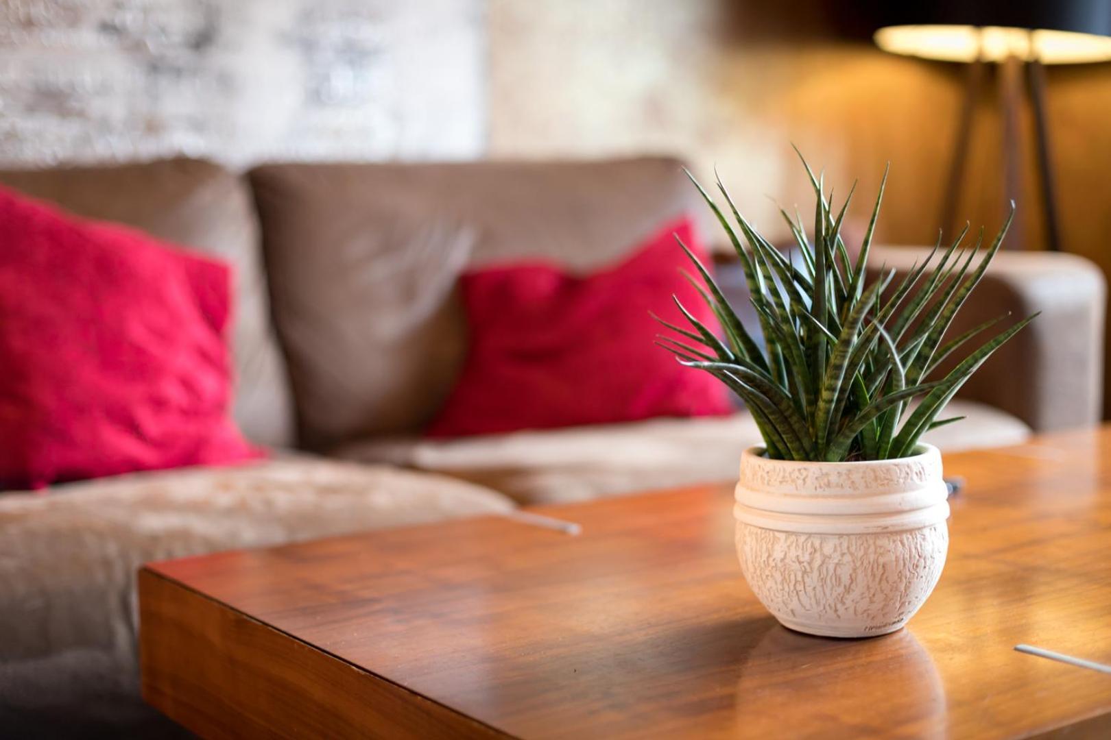 Special Retreat Apartment & Home-Office & Workplace Bazel Buitenkant foto